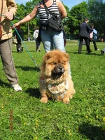 IMG_0722.webp