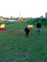 016.webp