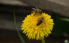P5014087__.webp