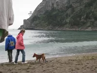 K800_2008 019.webp
