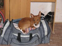 K800_IMG_8568.JPG