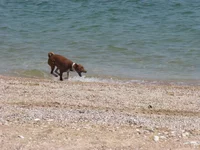 K800_IMG_0368.webp