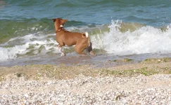 K800_IMG_0551.webp