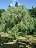 DSC05074_resize.webp
