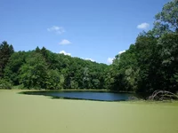 DSC05102_resize.webp