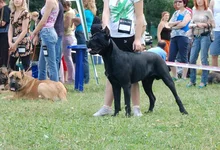 DSC_0080.webp