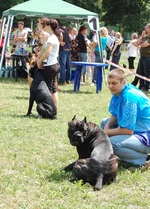 DSC_0083.webp