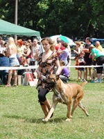 DSC_0084.webp