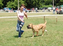 DSC_0093.webp