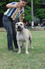 DSC_0267.webp