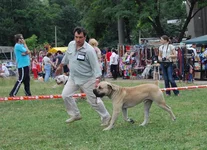 DSC_0257.webp