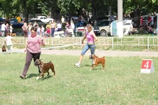 DSC_0290.webp