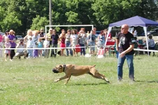 DSC_0312.webp