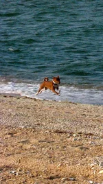 K800_IMG_0292.webp