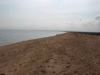 IMG_5647.JPG