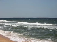 IMG_5713.webp