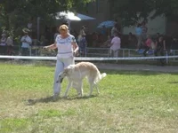 IMG_3970м.webp