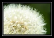 DSC05148.webp