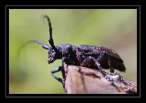 DSC05798.webp