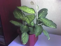 19-06-09_1455.webp