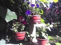 19-06-09_1537.webp
