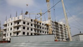 IMG_20150328_113411.jpg