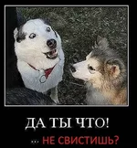 .webp