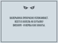 .webp