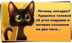 getImageCA7H8V9I.webp