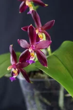 small_2746.jpg