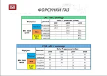 .webp