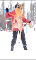 4.PNG
