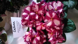 DSC_0186.webp