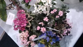 DSC_0239.webp