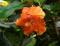 DSC05172_.webp