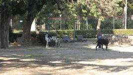 IMG_4838.webp