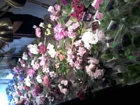 20150403_162928.webp