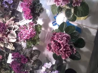 20150403_163817.webp
