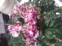 20150403_164305.webp