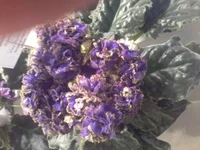 20150403_164322.webp