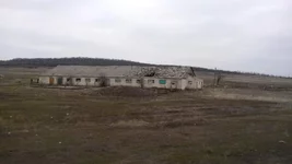 gumkonvoy_27.webp