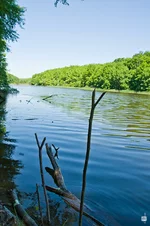 11.webp