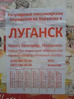 -0399.webp