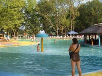 DSCF7246.webp