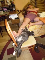 DSCN4811.webp