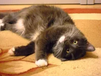 DSCN4794.webp