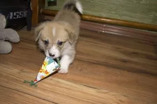 IMG_6903_.webp
