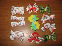 IMG_2917.webp