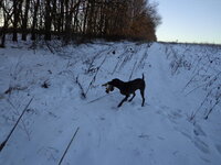 DSC02239.jpg