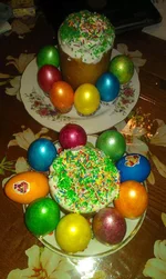IMAG5623.webp